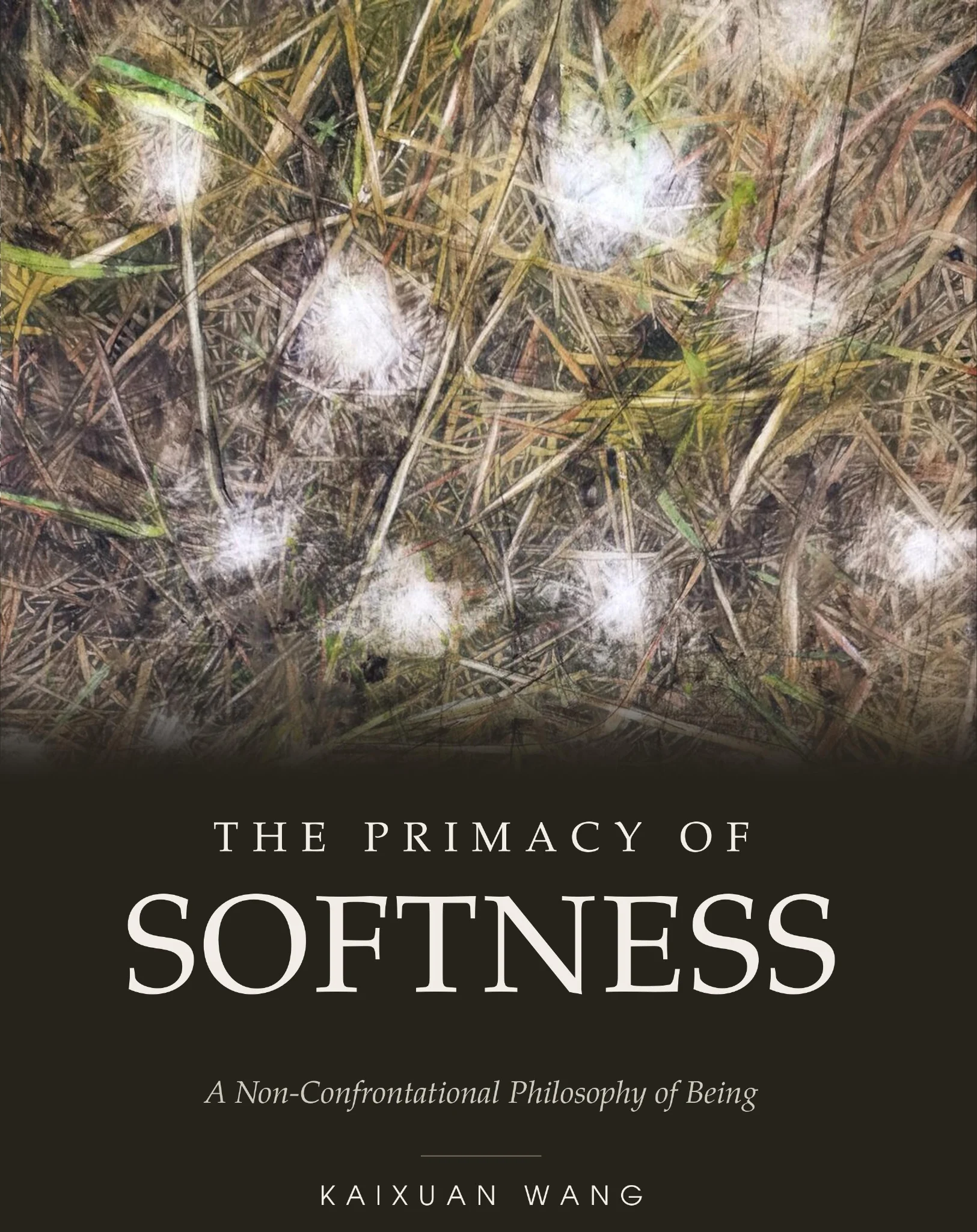 The Primacy of Softness book cover by KAIXUAN WANG